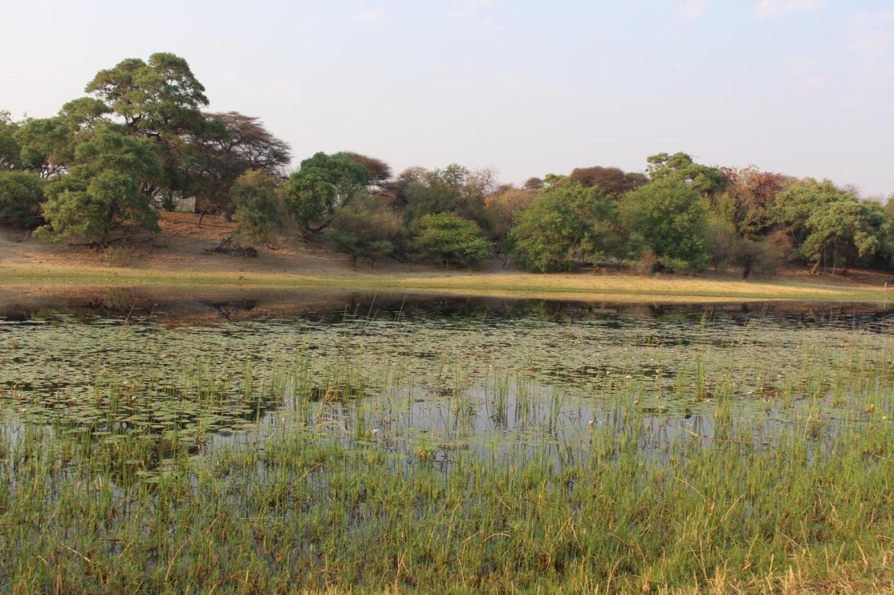Rivermews Hotel And Spa Maun ภายนอก รูปภาพ
